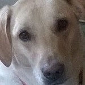 Meet your Posher, Lucia